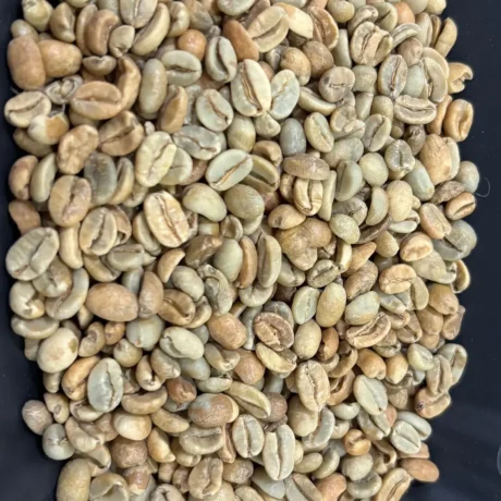 Gayo Natural Beans